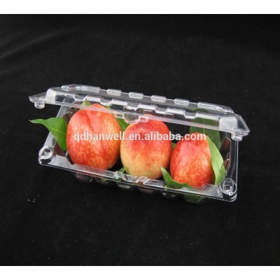 Customer logo Disposable plastic fresh fruit packing box