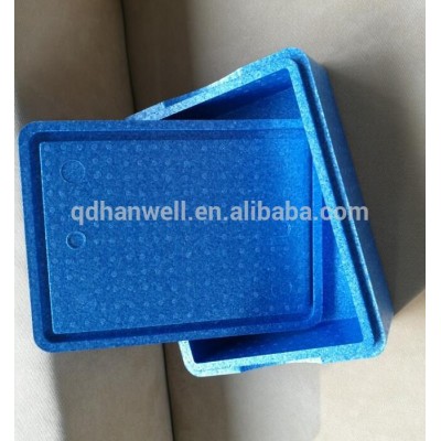 OEM High-end Anti-impact Non-toxic Insulating EPP EPS Portable Foam Cooler Box