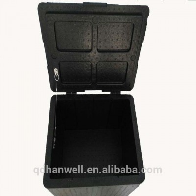 Best selling OEM EPP foam Cooler box for cold chain shipping